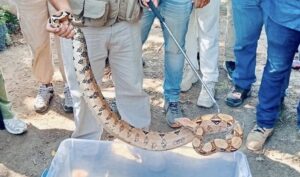 0cc8ef96-df36-4b2f-81b5-021d912aa3db