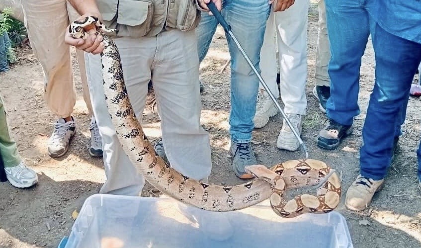 0cc8ef96-df36-4b2f-81b5-021d912aa3db