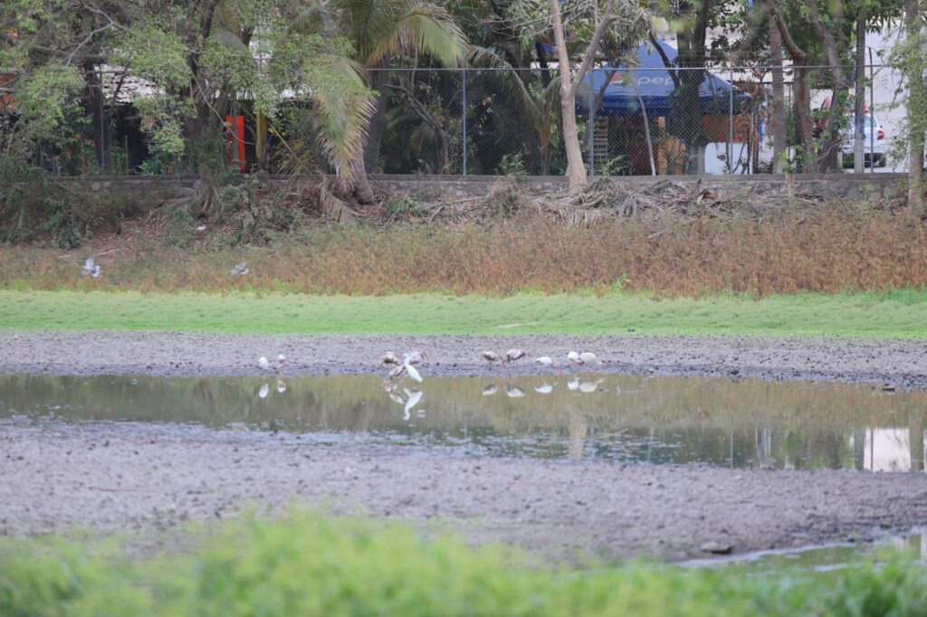 68e29a40-cb0b-44fa-ae1a-08ed12037de5