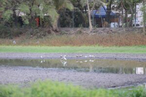 68e29a40-cb0b-44fa-ae1a-08ed12037de5