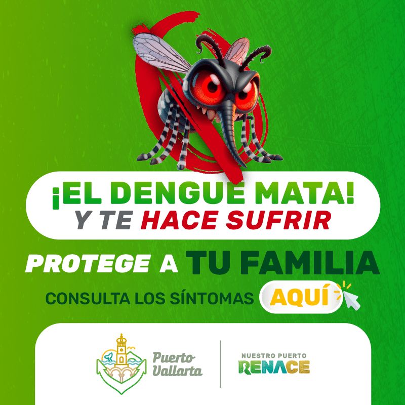 Banner-Dengue-Mayo2025_MinutoAMinuto-800x800px