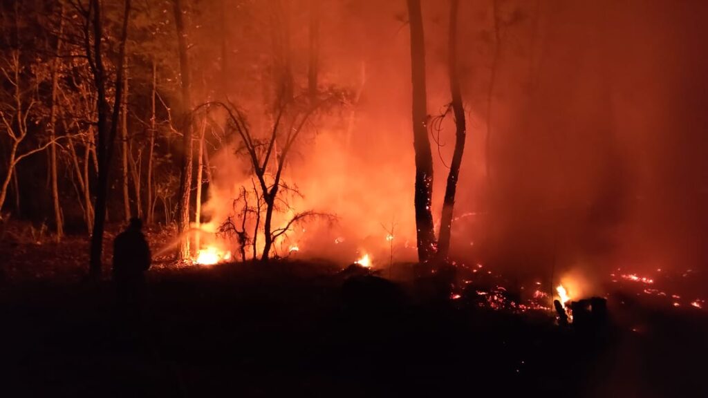 e9752ed1-28f9-44d7-984a-f3c84f7fa86e