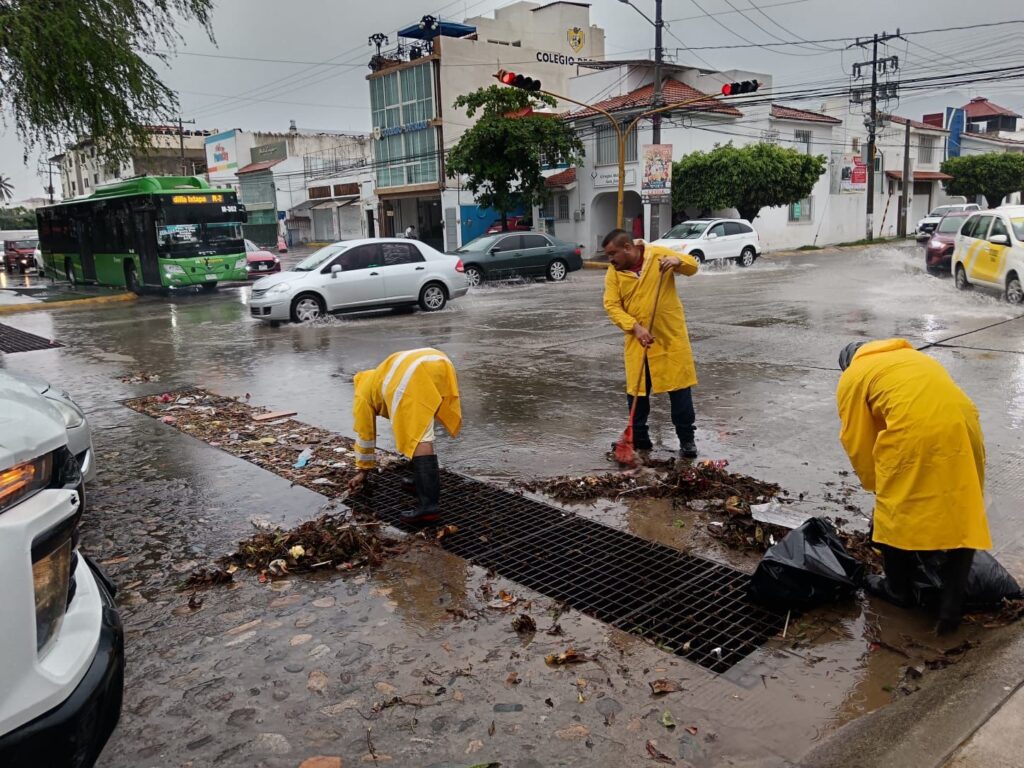 1ec7587d-41ed-46aa-9c91-4da74c4d561f