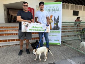 799f2899-eafc-4e41-b377-ba2bc6b321bd