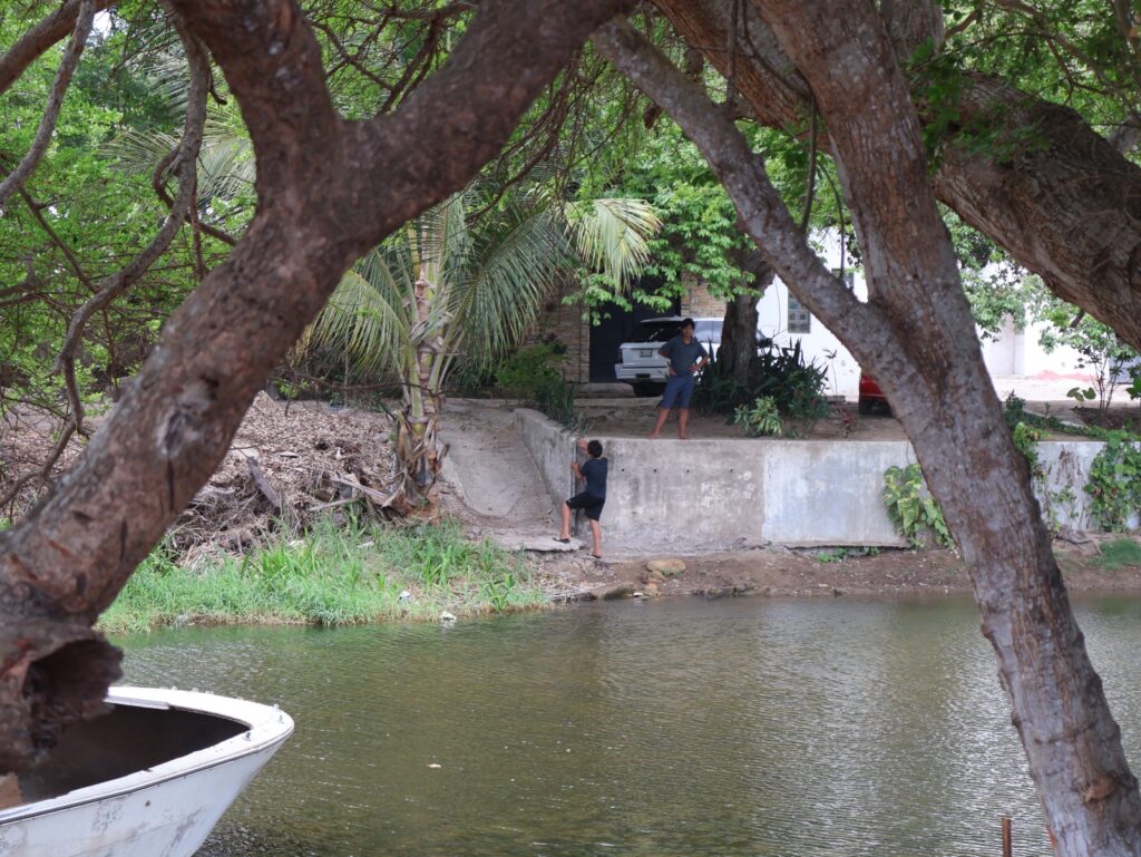 922d8a16-8714-406a-bb34-13e5b7b056ea