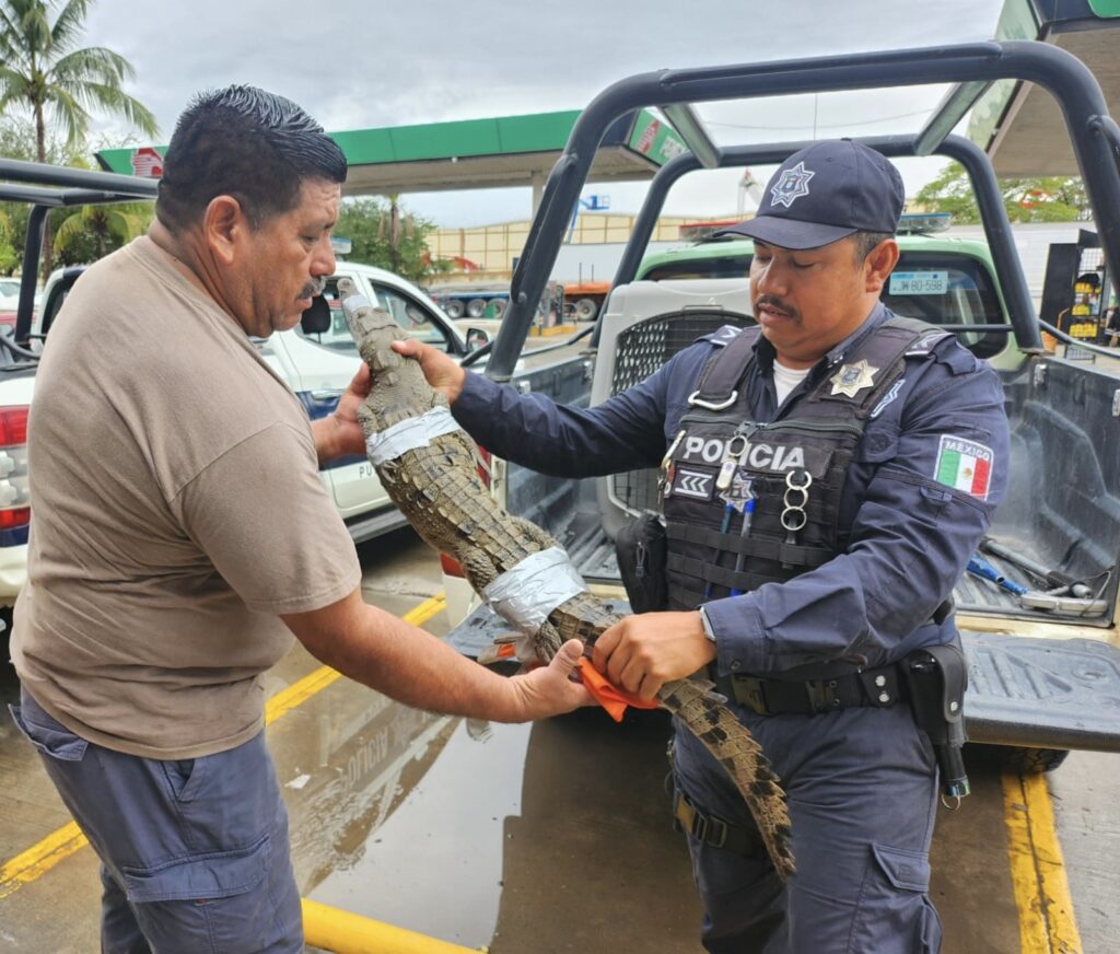 Biologo Juan Corrales