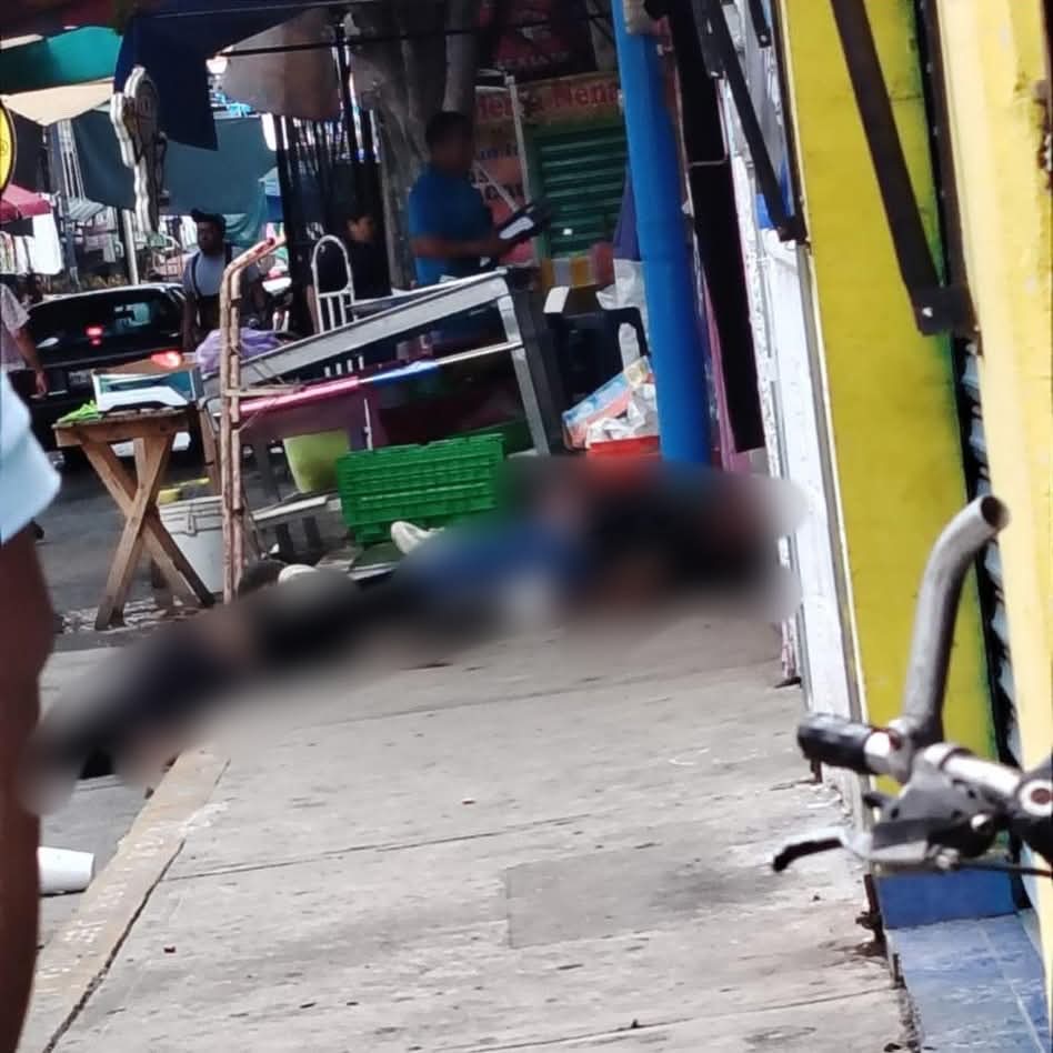 d8471911-7575-47d6-8724-633c397875fa