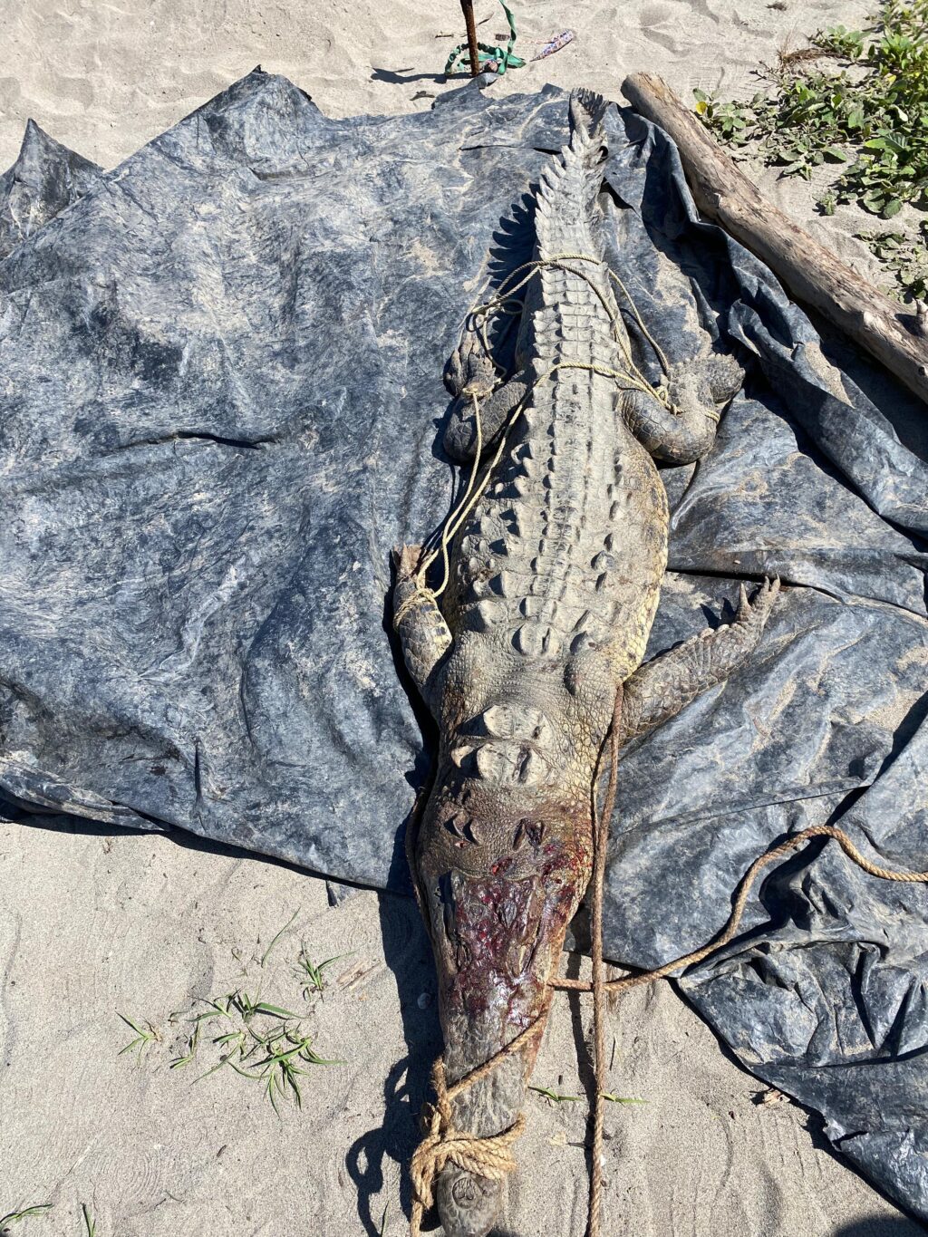 07eb5cbe-d3e0-4829-899d-66f82b7ef579