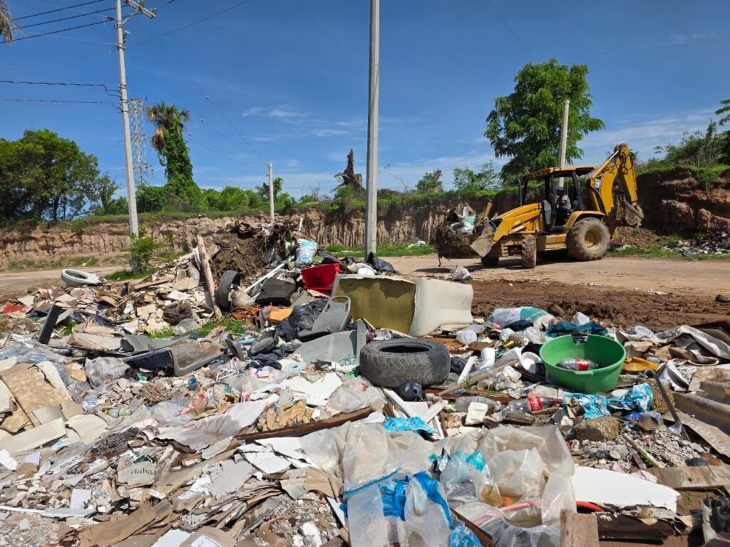 46547c92-72c6-42d3-8ed8-0a12e56f0e04