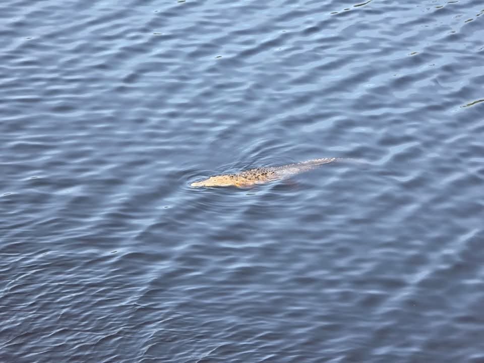 bd29cb83-7848-408c-ae4f-299c8b363811