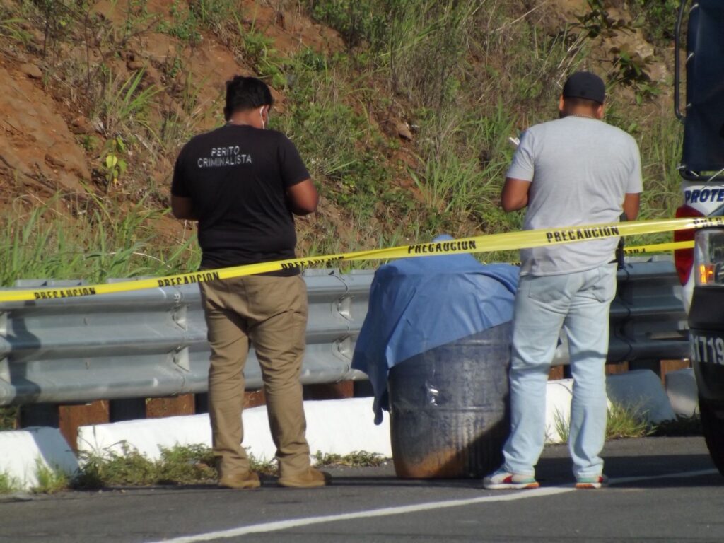 e14d1b59-fd48-4bf4-af98-06fd5735dc1c