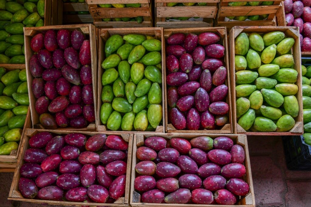 0c5aa469-df3b-4684-85cf-4ff4549428c2