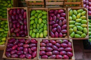 0c5aa469-df3b-4684-85cf-4ff4549428c2