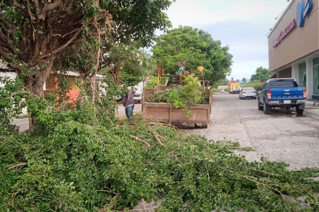 4221d5f2-5ce3-4466-8cf4-d917aca68ef3