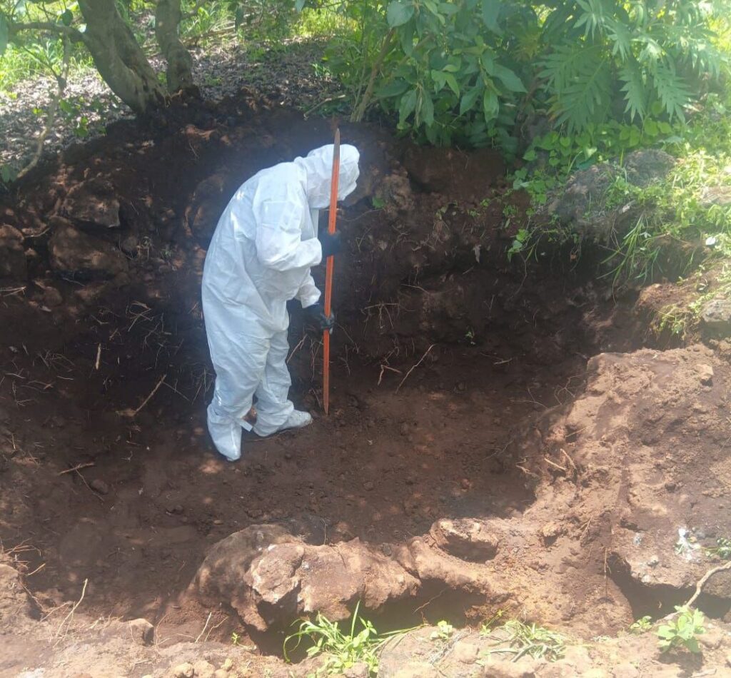 79f43d58-02c7-4bf9-95b5-3292505fdbeb