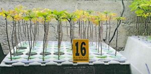 ed3cb227-1d80-4fd7-ac29-091a3621cddf