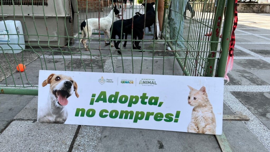 f7b8a1df-ca29-4104-b5f7-e429049990b1