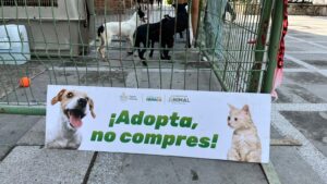 f7b8a1df-ca29-4104-b5f7-e429049990b1