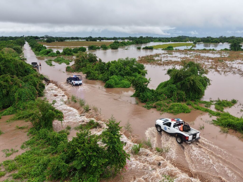 1c351dc6-b852-44e1-8566-a64b140e79ce