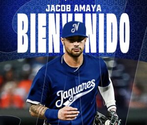 44690aa3-67aa-41a9-935d-688d91ee2533