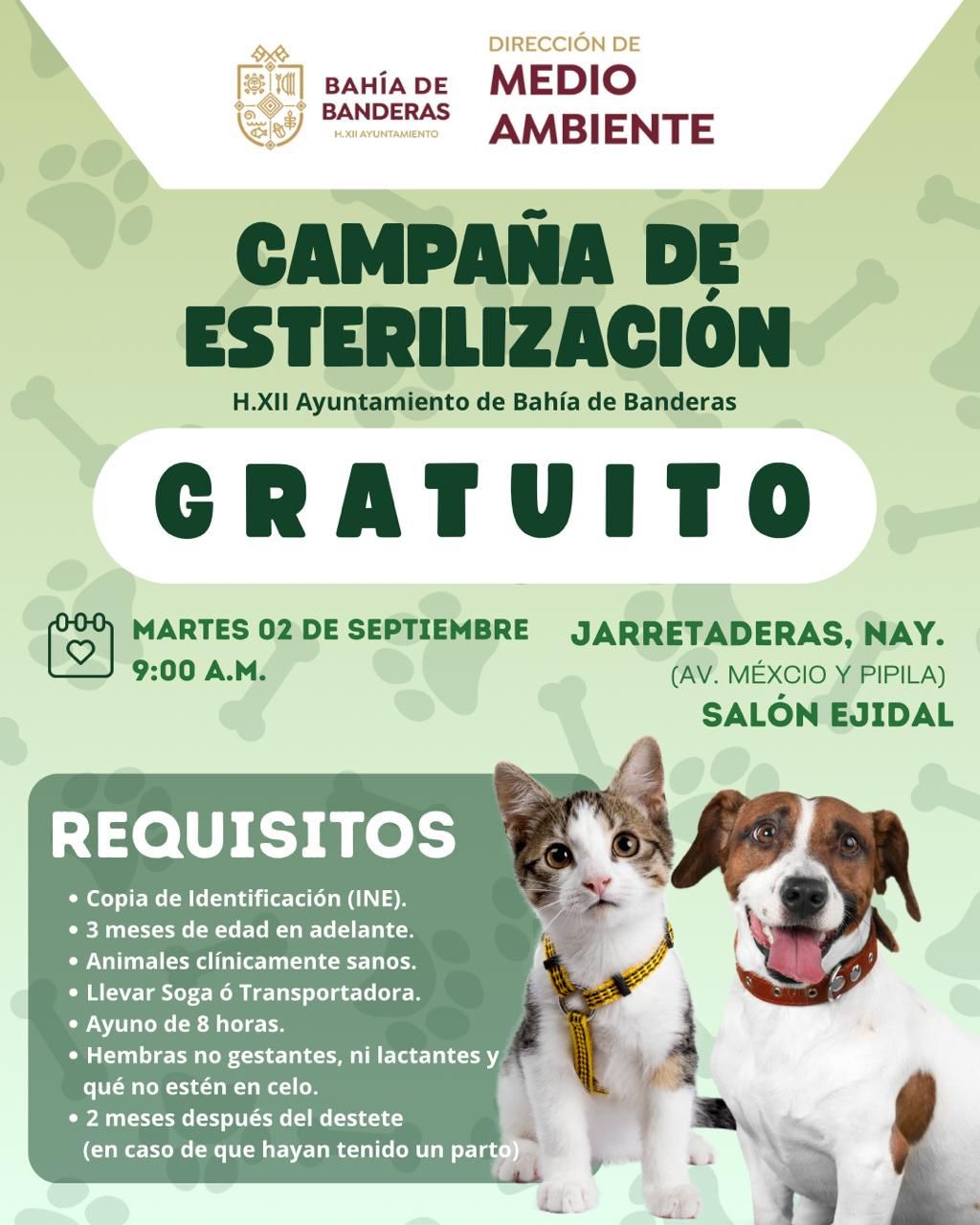 44a49685-f435-4330-b451-1239ef1e57a2