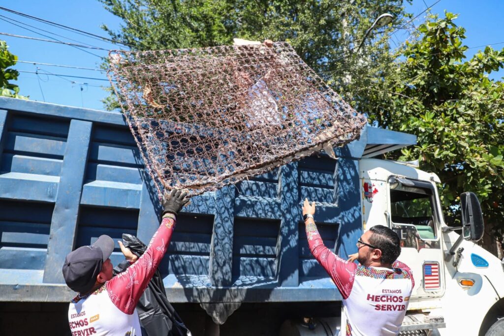 b91a8a2b-64af-47c7-8d8a-7e246fb138ec