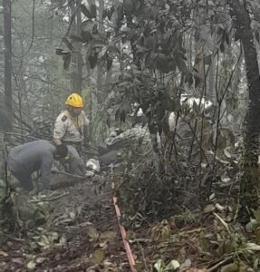 ea18848b-9ff0-40c9-9420-1373d1b9af1d