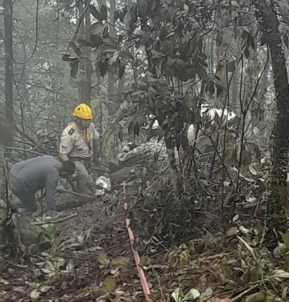 ea18848b-9ff0-40c9-9420-1373d1b9af1d