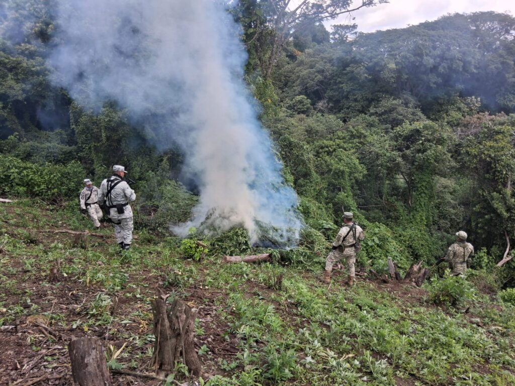 e55c2ee0-8fbb-42aa-b520-3747b20771d1