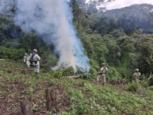 e55c2ee0-8fbb-42aa-b520-3747b20771d1