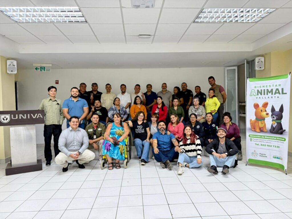 48eba6e2-1aaf-493a-b5e9-d8360e223554