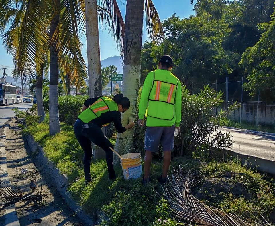 927e640e-428d-4b42-8833-66736eac0f1a