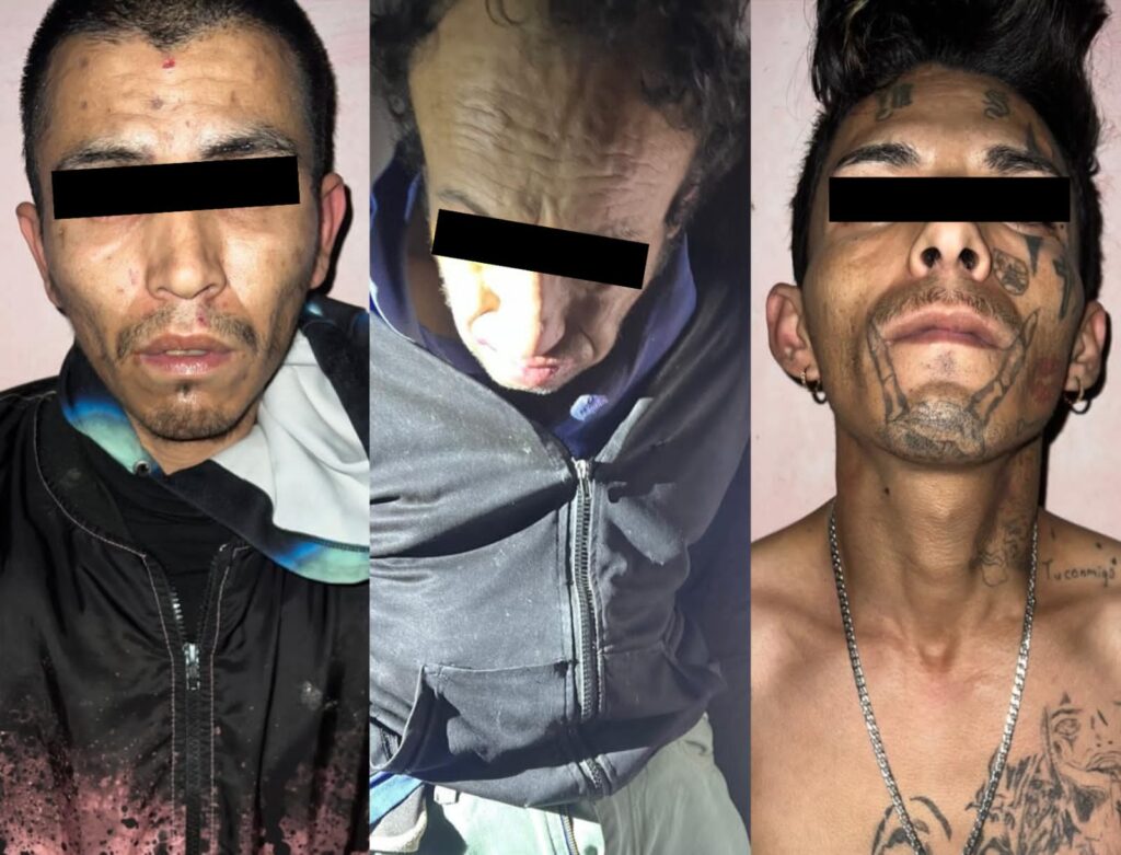 b3d8658c-3f84-4f65-8f33-3c278a99145f