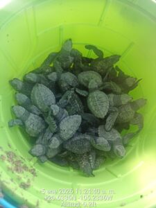 99a93c97-76c8-47c3-84a9-139bc90e9f0a