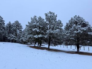 a9564f1c-3324-4e00-a66c-9ea1684898db