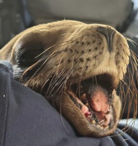 06c5db65-4238-4efd-ba9a-5ada00ce2f9a