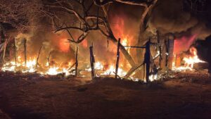 a1dec511-2fb1-48f9-a4d9-744477e50876