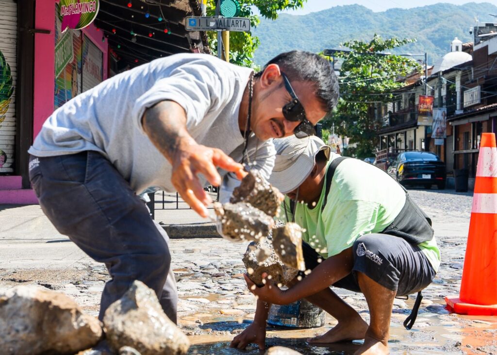 c70ecbc2-f6c9-446a-8b87-f2b094bede40