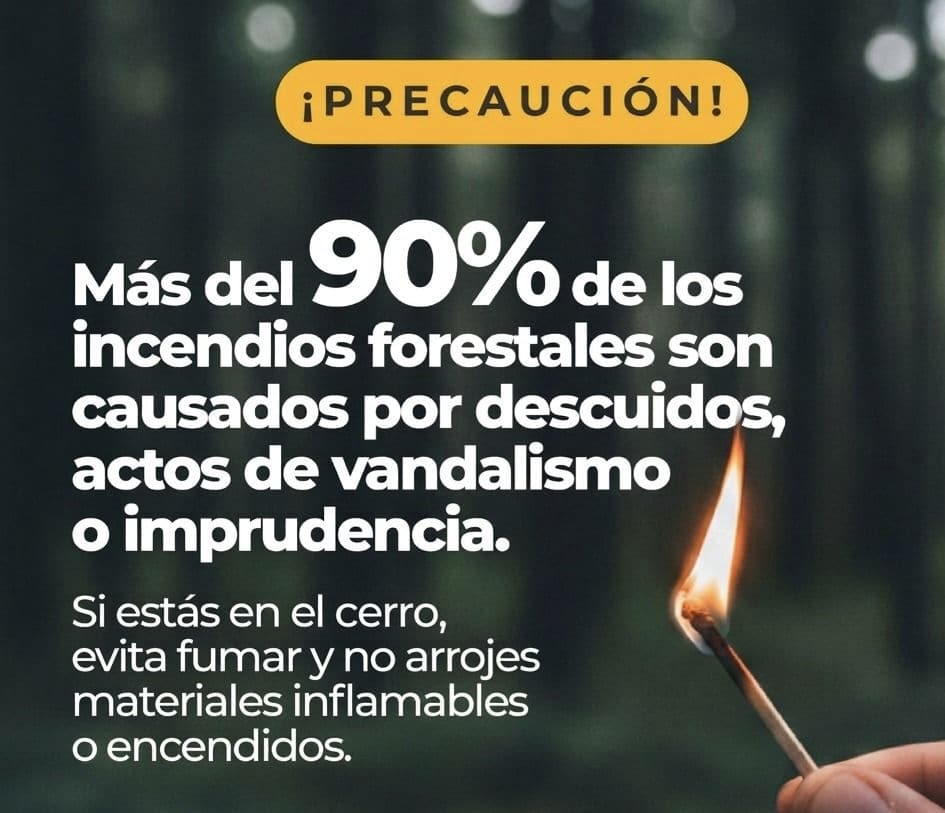 98afa0b7-0219-4c5a-a653-94375c335243