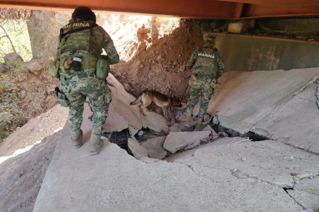 b137f9d7-cf06-4808-af38-66b1b6fd5ae3