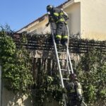 Bomberos de Puerto Vallarta combaten incendio en Fluvial Vallarta