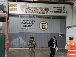 Decomisan más de tres toneladas de pesca ilegal en Puerto Vallarta