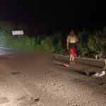 SIN VIDA MOTOCICLISTA EN LA FEDERAL 200 LIBRE TPC-PTO VALLARTA