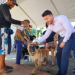 Israel Santillán fortalece acciones de bienestar animal con jornada de esterilización en La Cruz de Huanacaxtle