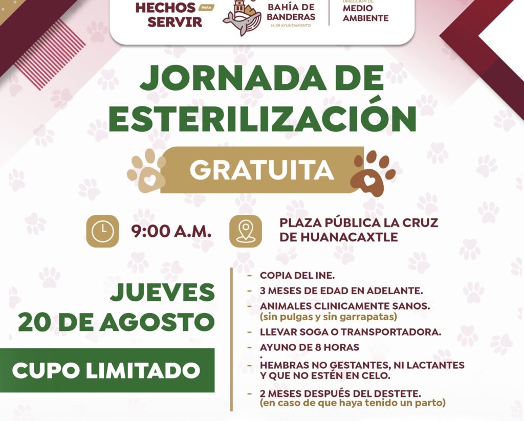 ddc0dc51-b6da-4c6e-aff0-96450b99775a