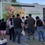 Continúan las esterilizaciones gratuitas en Puerto Vallarta