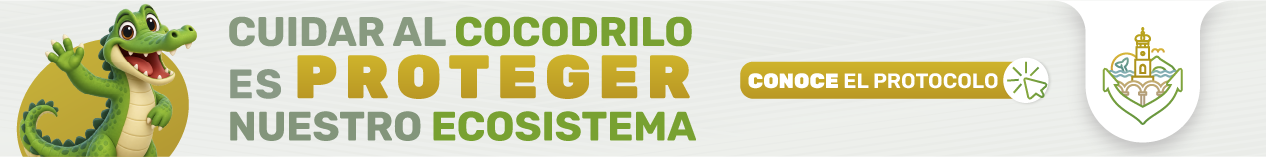 banner-Cocodrilos_Minuto a minuto -1024x127px-